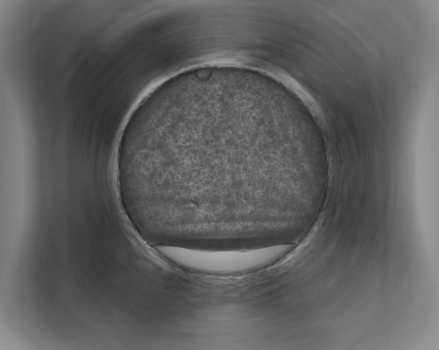 X0000111461240200908031333