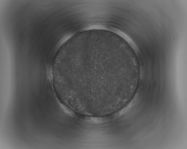 X0000111461241200908031333