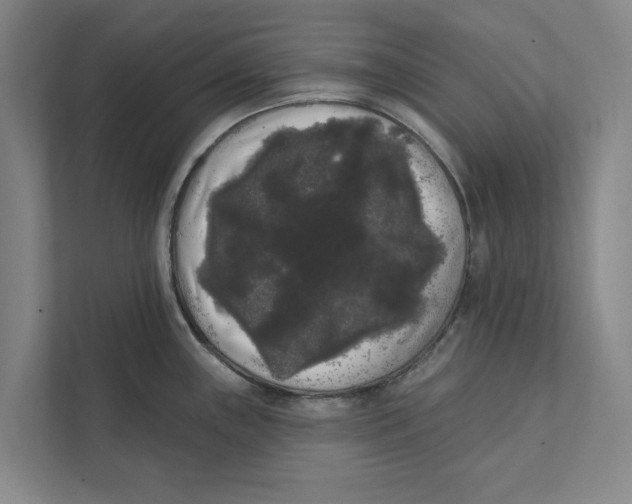 X0000111461243200908031333