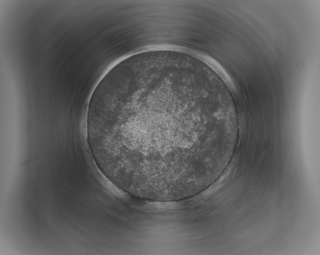 X0000111461244200908031333