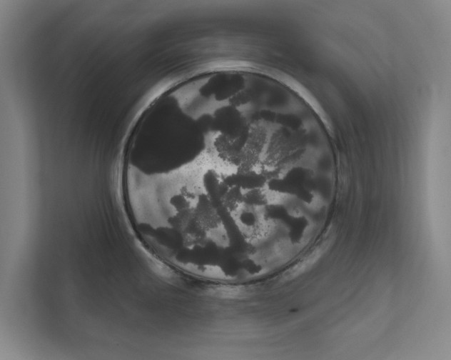 X0000111461245200908031333
