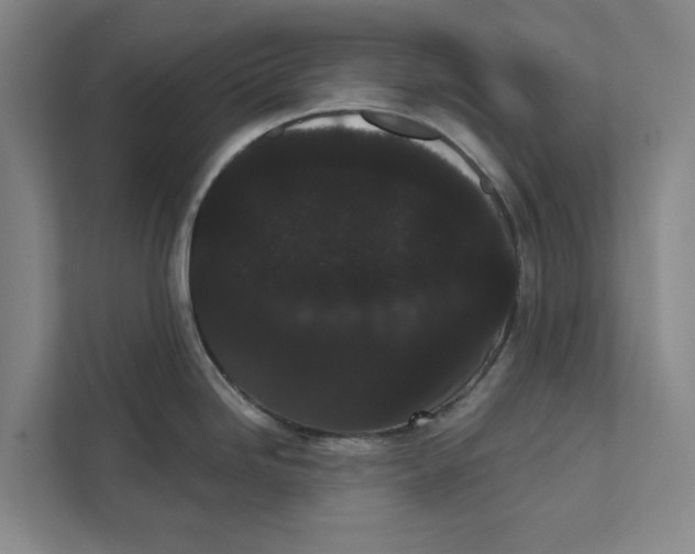 X0000111461246200908031333