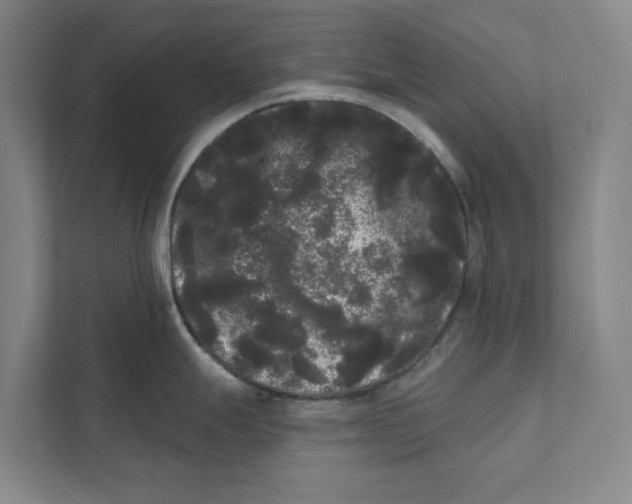 X0000111461247200908031333