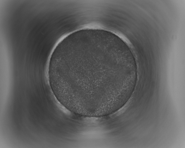 X0000111461248200908031333
