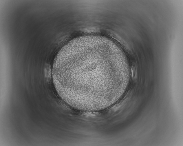 X0000111461251200908031332