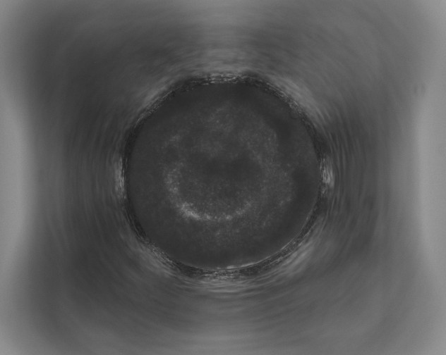 X0000111461252200908031332