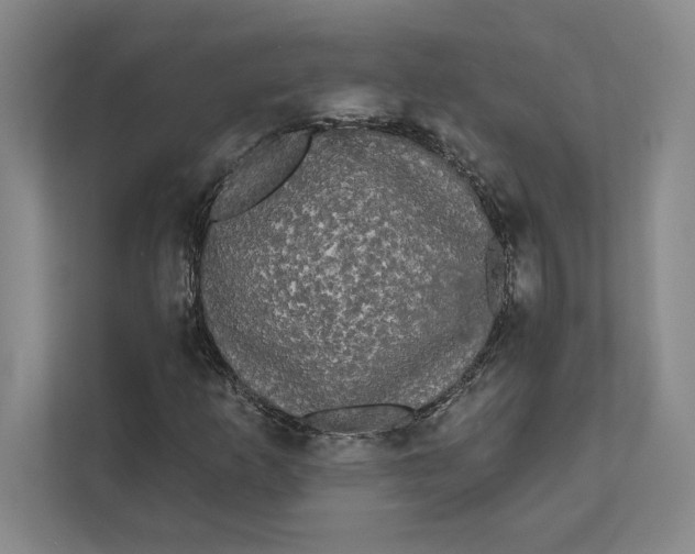 X0000111461253200908031332