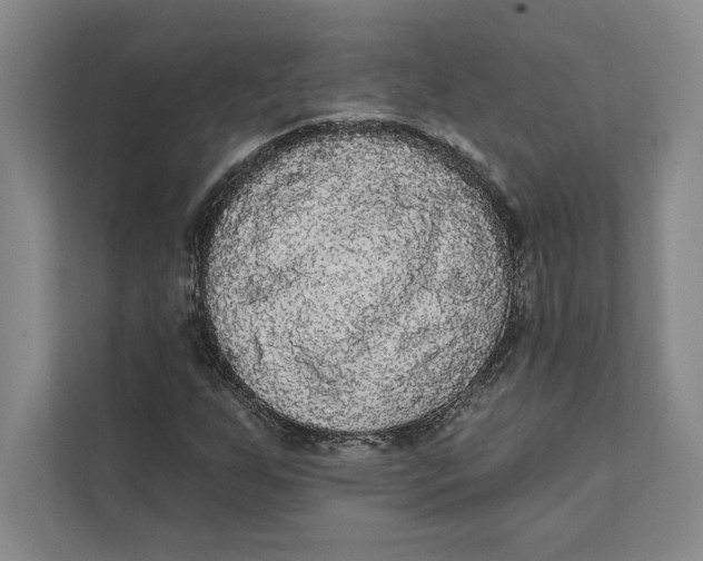 X0000111461255200908031332