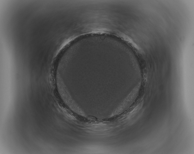 X0000111461256200908031332