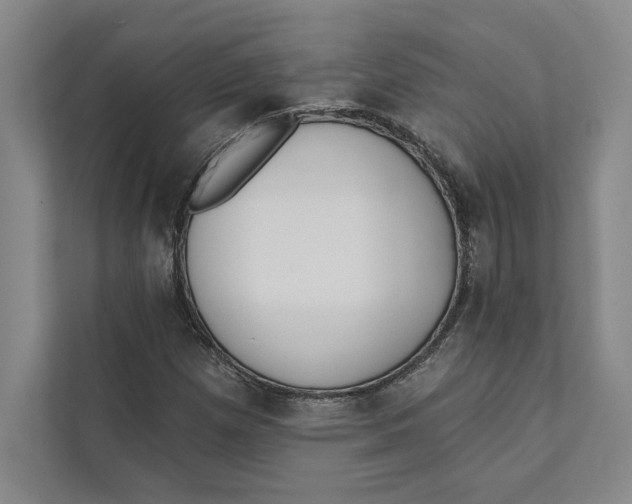 X0000111461257200908031332