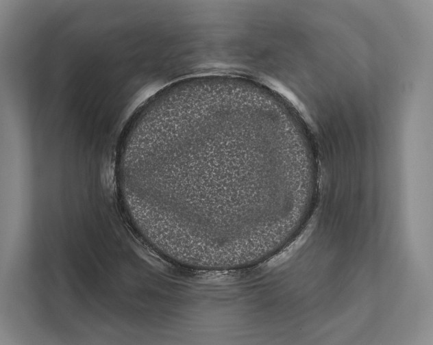 X0000111461259200908031332