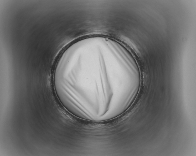 X0000111461260200908031332