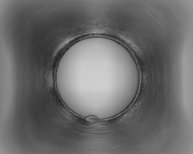 X0000111461262200908031332