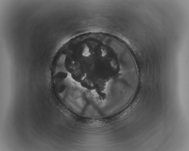 X0000111461263200908031332