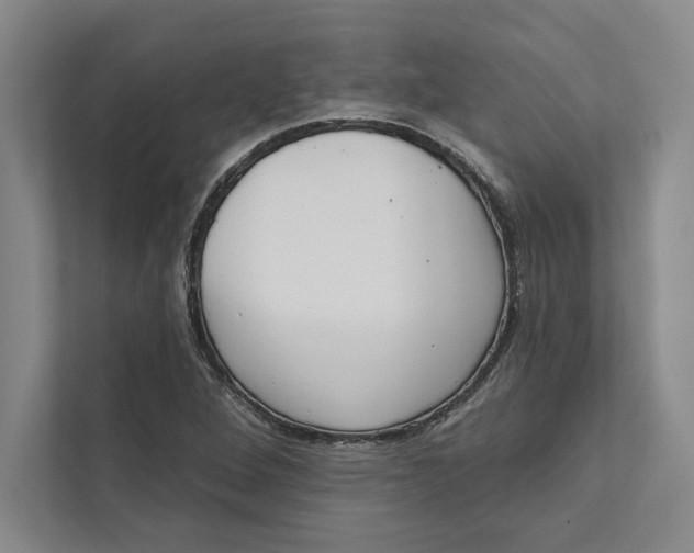 X0000111461264200908031332