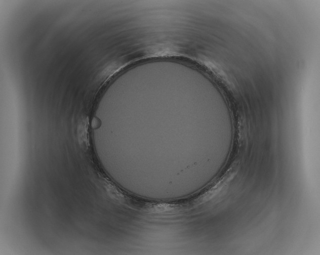 X0000111461265200908031332