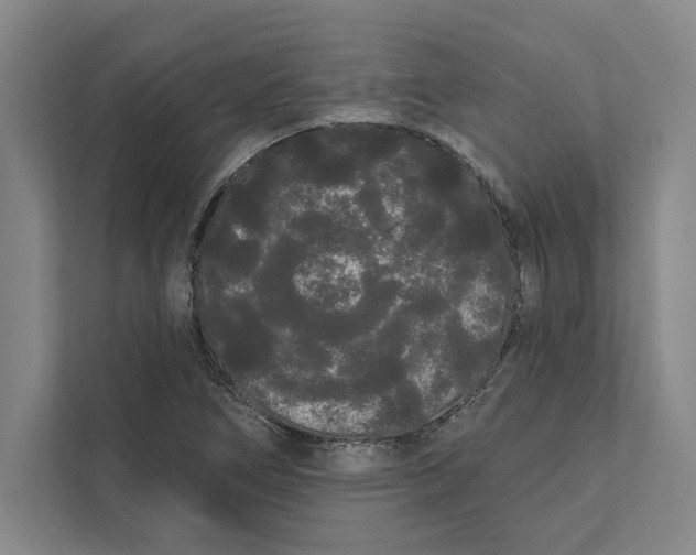 X0000111461266200908031332