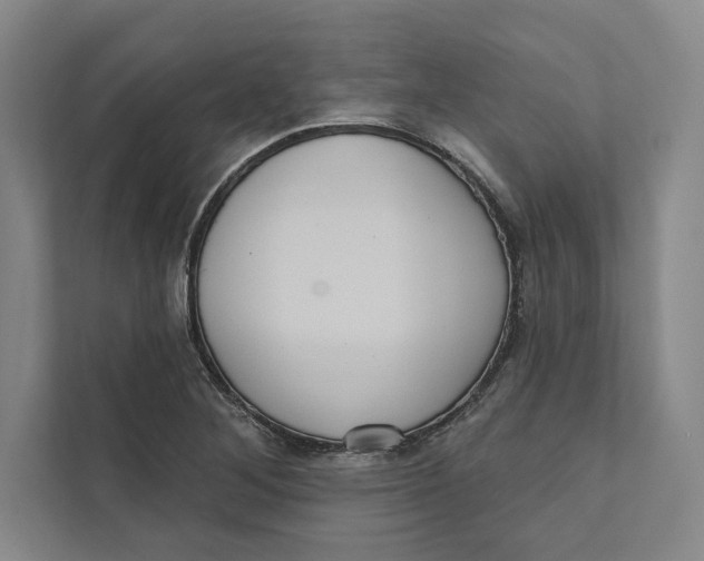 X0000111461268200908031332