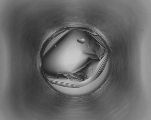 X0000111461269200908031332