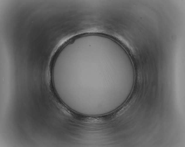 X0000111461270200908031332