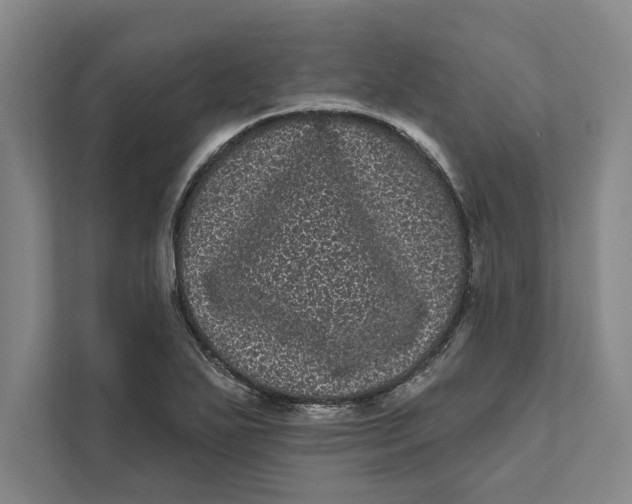 X0000111461271200908031332