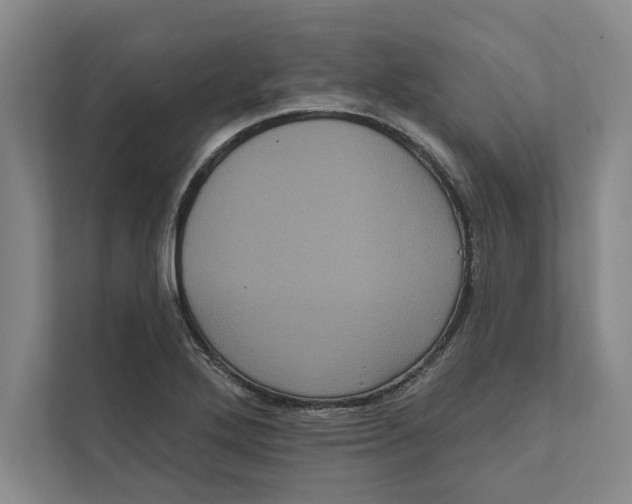 X0000111461272200908031332