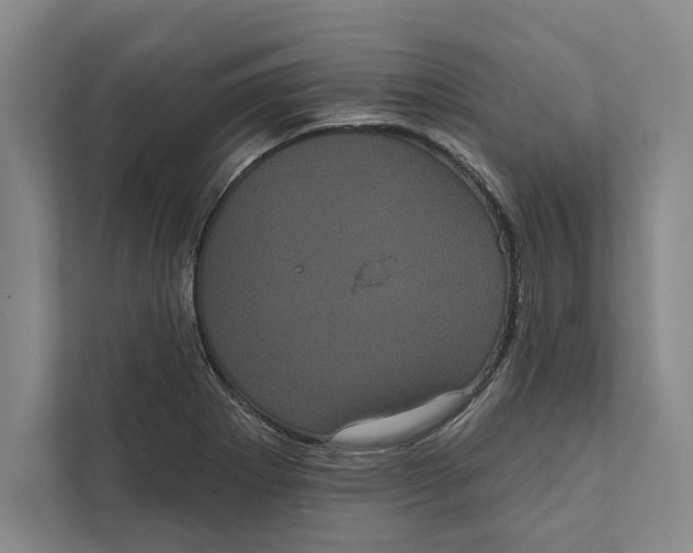 X0000111461273200908031332