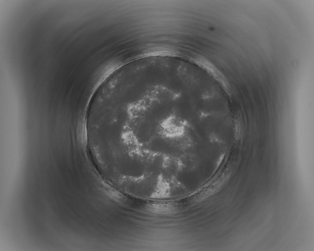 X0000111461274200908031332