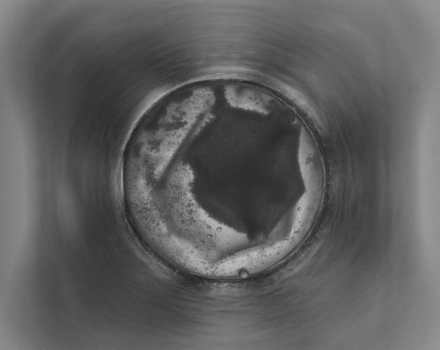 X0000111461275200908031332