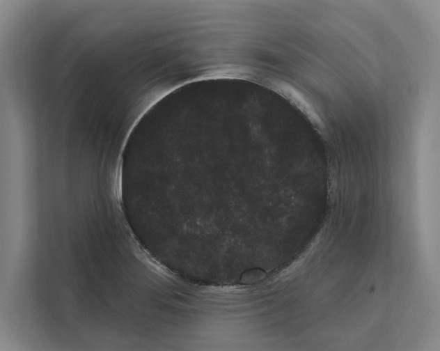 X0000111461276200908031332