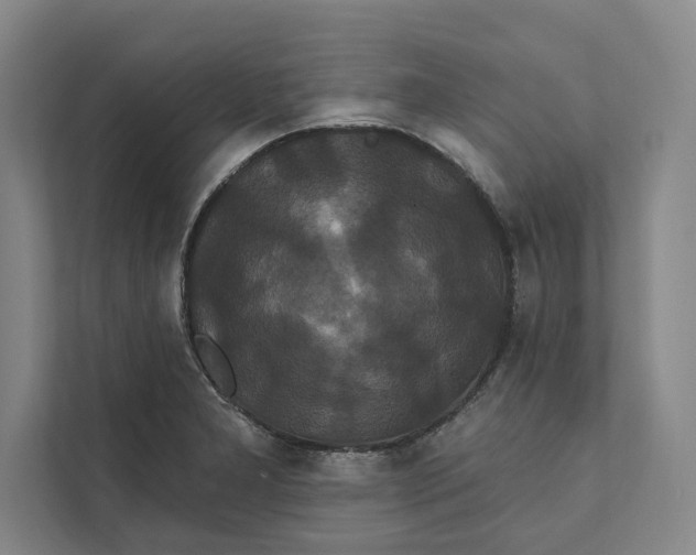 X0000111461277200908031332