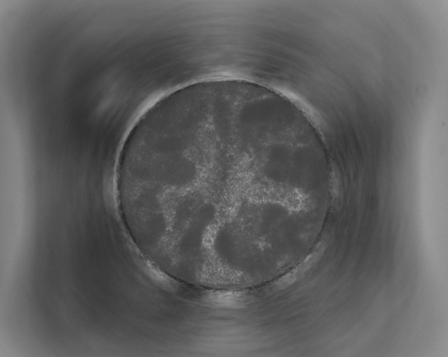 X0000111461278200908031332