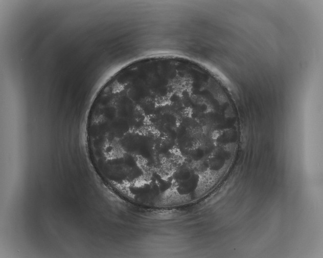 X0000111461279200908031332