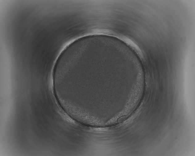 X0000111461280200908031332