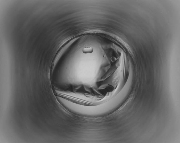 X0000111461281200908031332