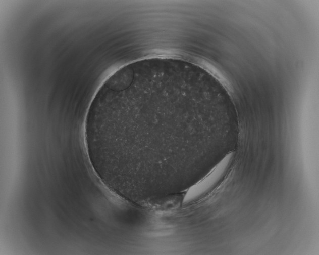 X0000111461283200908031332