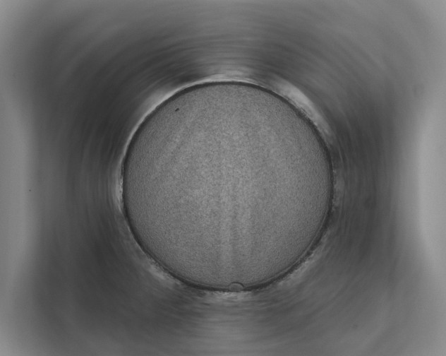 X0000111461284200908031332