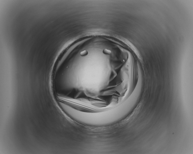 X0000111461285200908031332
