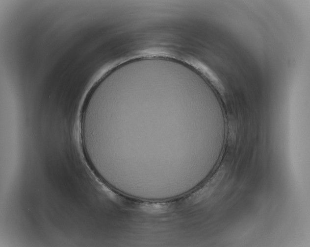 X0000111461286200908031332
