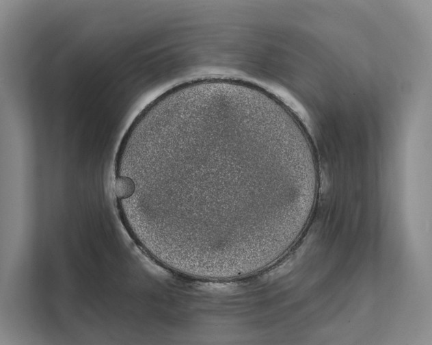 X0000111461287200908031332