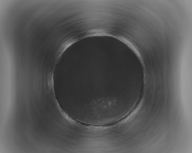 X0000111461289200908031332
