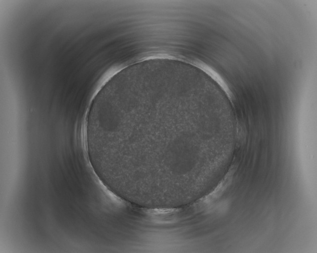 X0000111461290200908031332