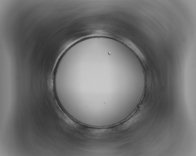 X0000111461292200908031332