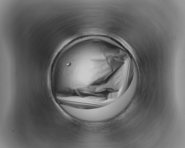 X0000111461293200908031332