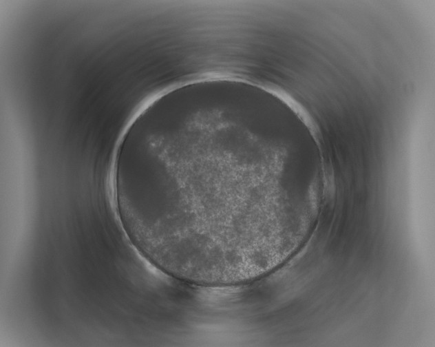 X0000111461294200908031332