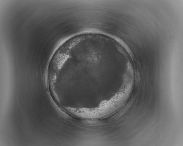 X0000111461295200908031332
