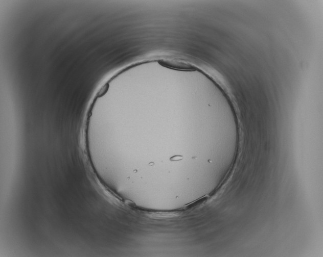 X0000111461296200908031332