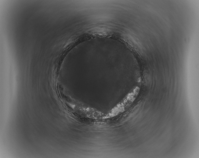 X0000111461297200908031331
