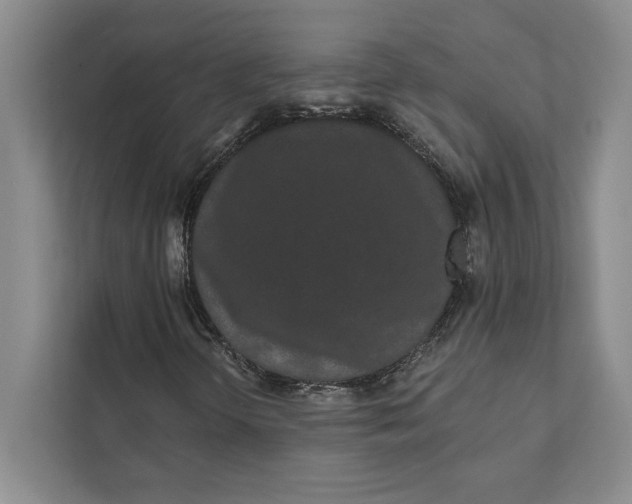 X0000111461298200908031331