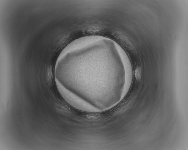 X0000111461299200908031331